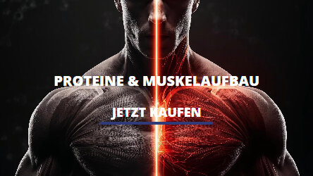 Protein & Muskelaufbau