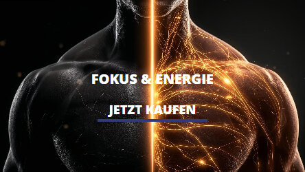 Fokus & Energie